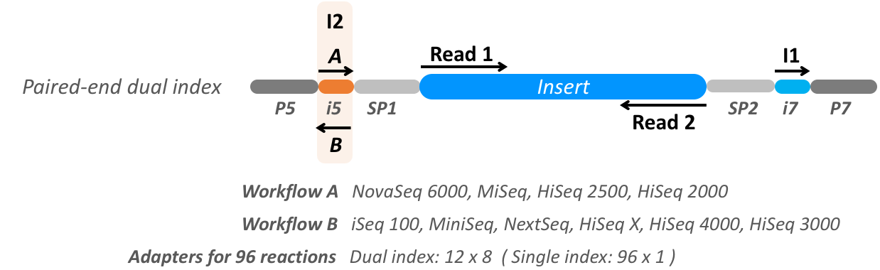 Read Segment Transformation In Pheniqs