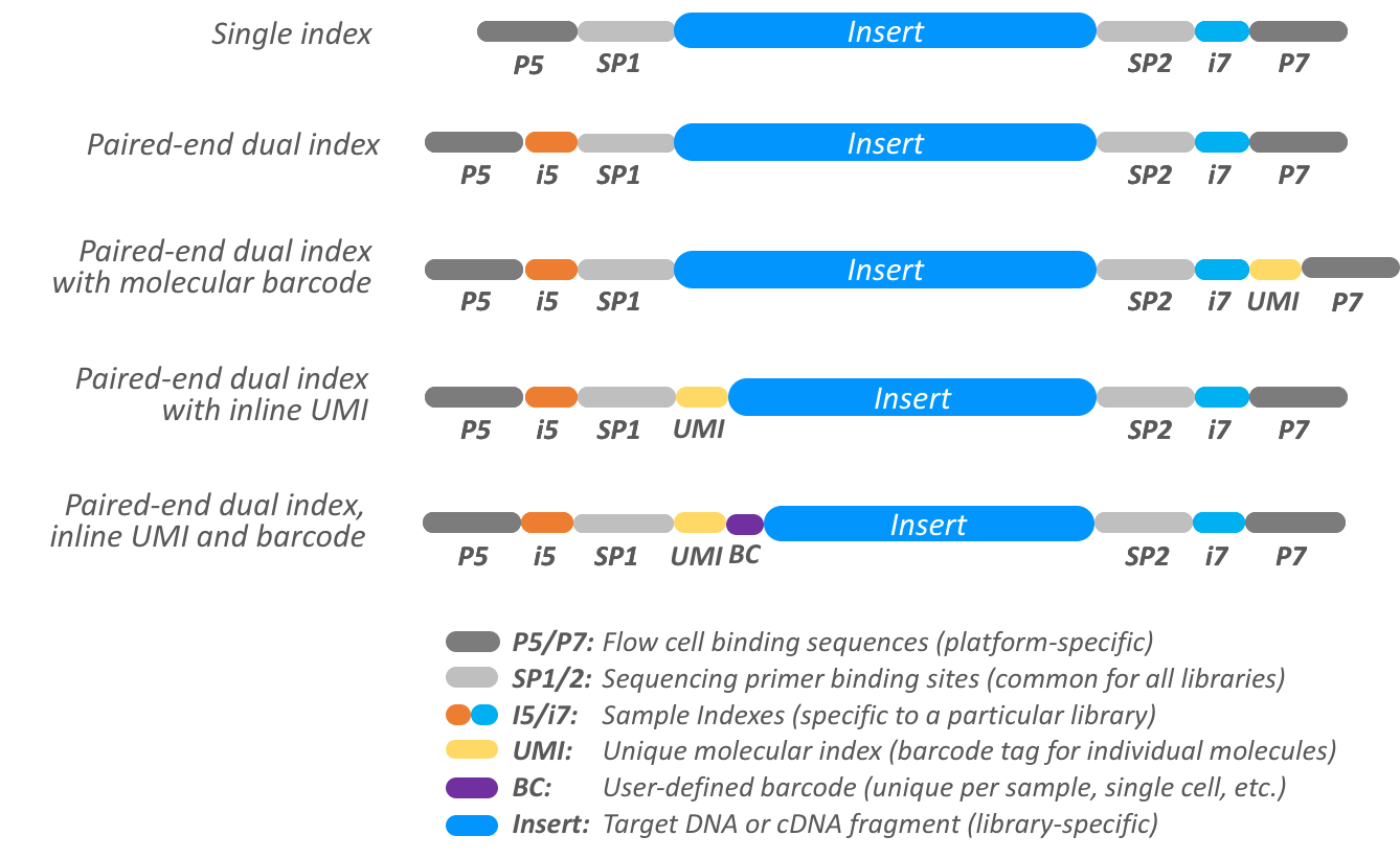 illumina adapter sequences