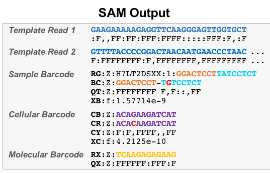 sam output